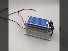 AC 220V 15g/hr صفحه اوزون سرامیکی برای دستگاه ضد عفونی کننده اوزون