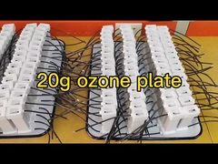 20g 8pcs Ozone Plate Gap Discharge ژنراتور اوزون سرامیکی جمع شده